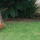 Illustration for article titled Halloween Decorations From a Few Neighborhoods